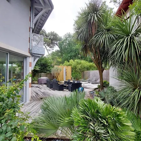 Villa D'exception A Piscine *